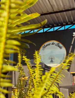Planalto – Morro do Buda