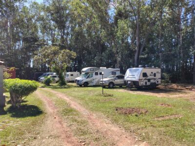 Brasília – Astrea Campestre