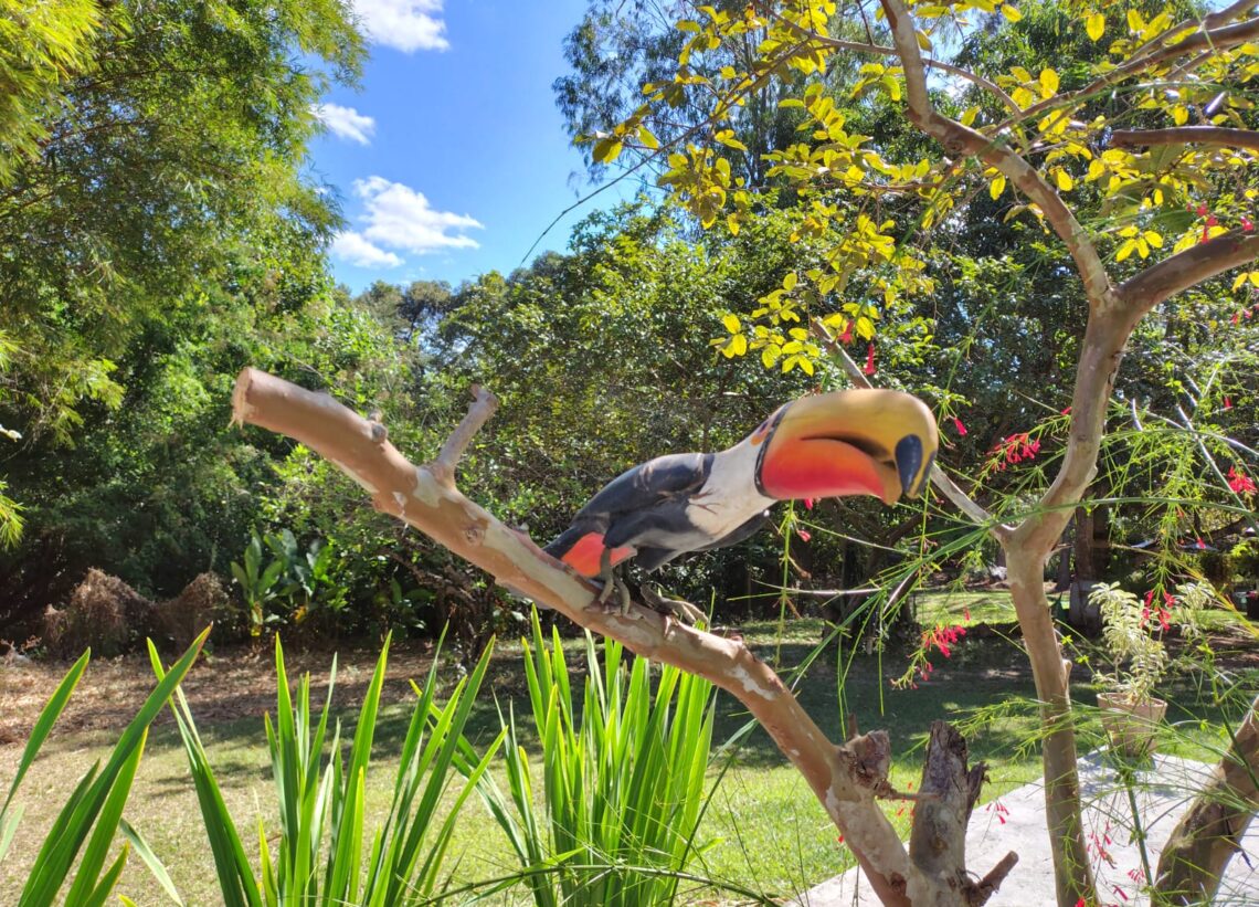 Brasília – Astrea Campestre